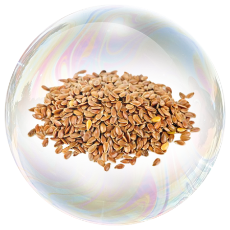 Flaxseed (Linum usitatissimum) **